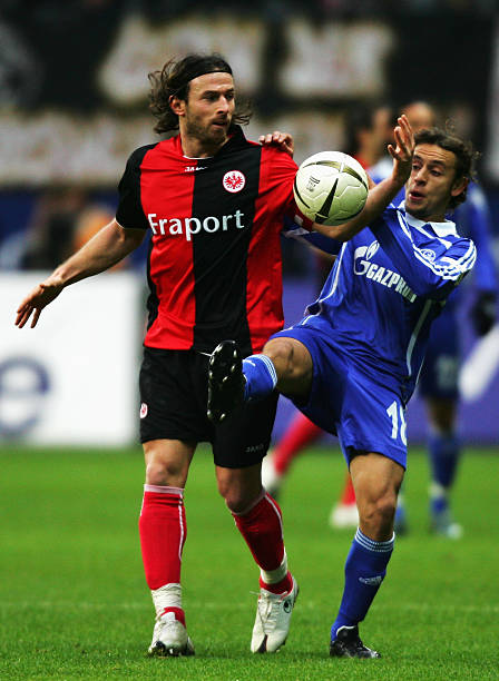 从未停止对 从未停止对