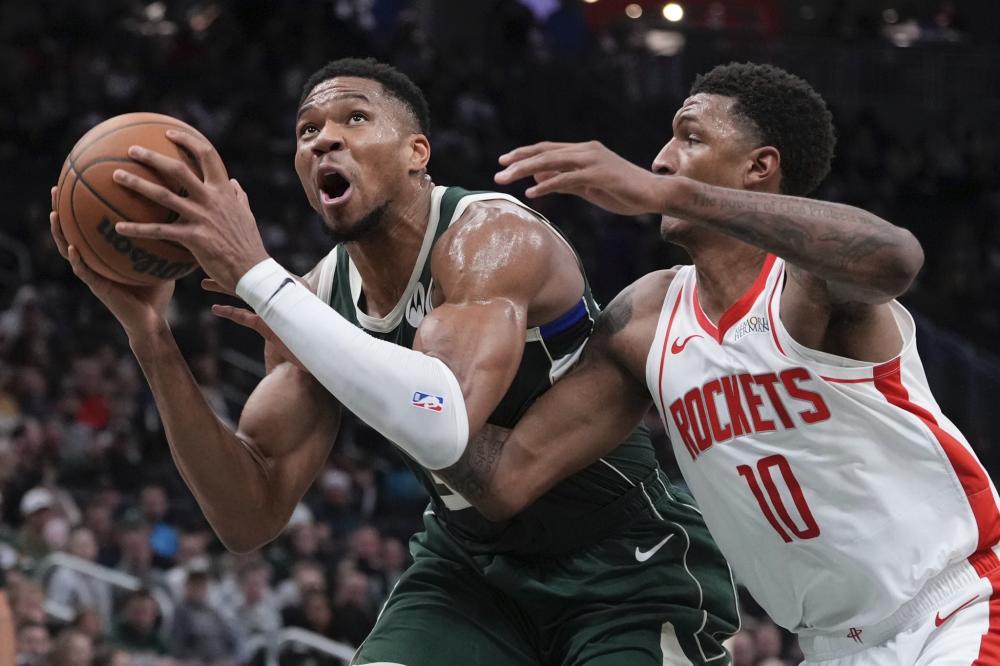 任何一个细 任何一个细